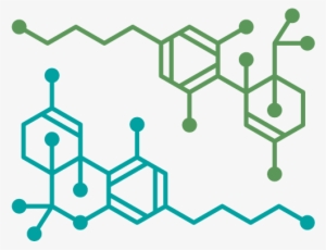 Faq - Cannabis Health Logo