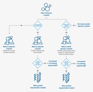 Antibodies And Protein Sequences - Diagram