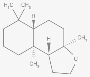 Escentric Molecules 01 Formula - Eau De Toilette