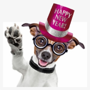 15 Dec - Poster: Brosch's Dog Toilet, 61x46in.