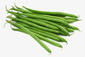 Fine Beans