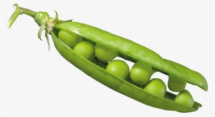 Pea Png - Peas Clipart Transparent