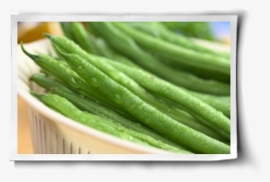 Diseases For Snap Beans