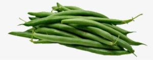 Beans - Lubia Arabic