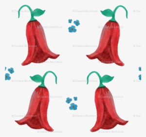 Copihue Flower- National Flower Of Chile Wallpaper - Lapageria