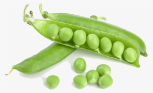Agronomic Data - Green Pea