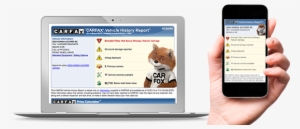 Devices - Carfax Report