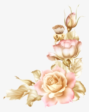 Pin By Terry Gurney On Flower - Zezete2 Centerblog Net Fiori