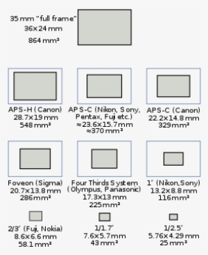 Full-frame Digital Slr - Live Mos Sensor Size