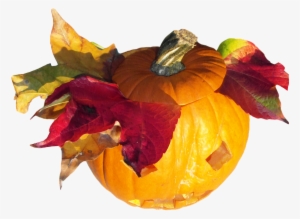 Laminated Poster Pumpkin Orange Harvest Thanksgiving - Pumpkin