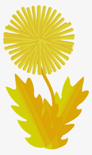 Mb Image/png - Dandelion Clip Art