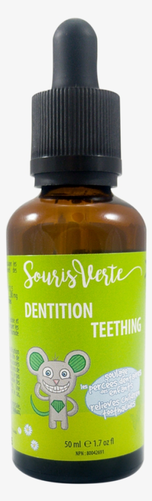 Souris Verte Dentition