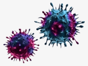 Blue And Purple Viruses - Integrated Study Of Viral Genomes [book]