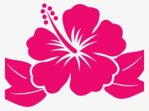 Hibiscus Flower Cartoon