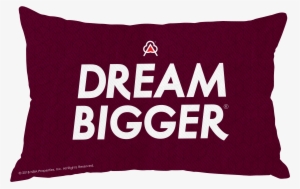 Lebron James Pillow Case Face - Psg Dream Bigger