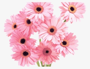 Flowers Pink Tumblr Vaporwave Aesthetic - Flower Daisy Pink