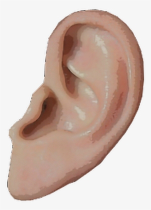Ear Png