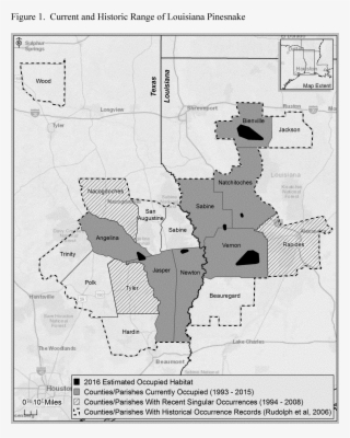 Despite Being Primarily Diurnal, The Louisiana Pinesnake's - Atlas