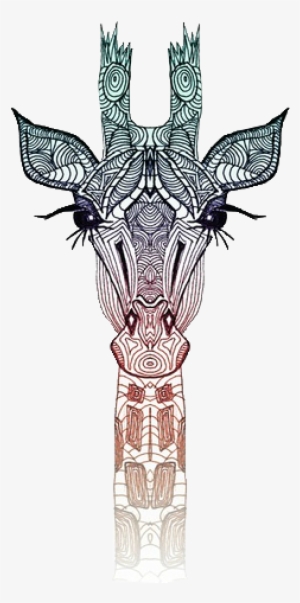 Hipster Giraffe Drawing Tumblr