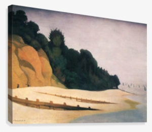 Shore Scene With Tree Silhouette By Felix Vallotton