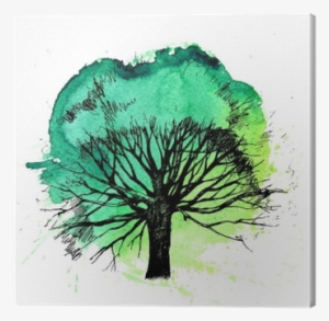 Oak