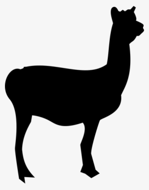 Llama Outline