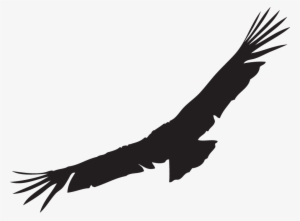 We Love The California Condor Just Another Wordpress - Condor Png