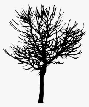 Free Png Tree Silhouette Png Images Transparent - Transparent Background Tree Silhouette Png