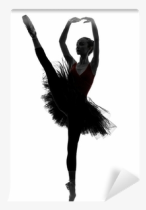 Young Woman Ballerina Ballet Dancer Dancing Silhouette - Ballet