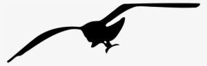 Bird Seagull Silhouette Fly Flying Seagull - Seagull Clip Art