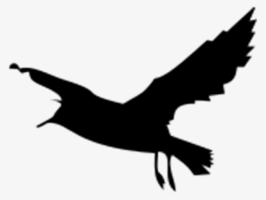 Bird Sticker - Птица Силуэт Пнг