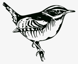 Perched Bird Silhouette - Clip Art