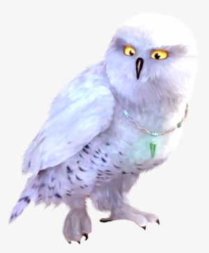 Publicat De Eu Ciresica La - Little Owl