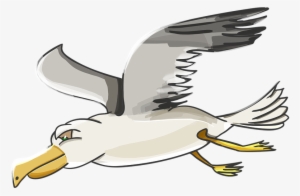 Albatross Clipart Beach - Gulls