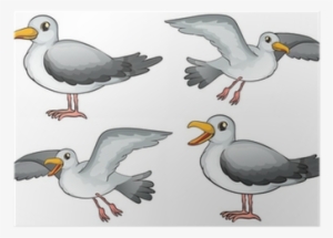 Cartoon Seagulls