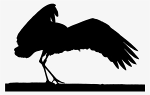 Stork Elegant Silhouette - Stork