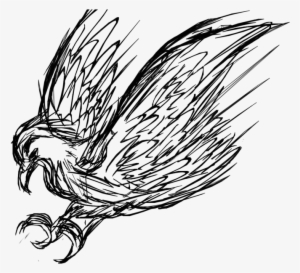 Attacking Bird By Robianshadow - Attacking Bird Drawing