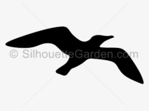 Clip Art