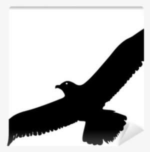 Silueta De Gaviota