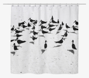 Birds On The Beach Woven Oxford Cloth Shower Curtain - Textile