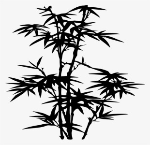 Bamboo, Plant, Black, Silhouette, Leaves - Bamboo Silhouette Png