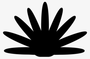 Agave Plant Silhouette Of Mexico Comments - Hand