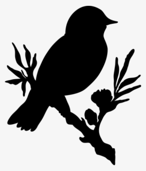 Bird Flower No Background Silouettes Pinterest - No Background