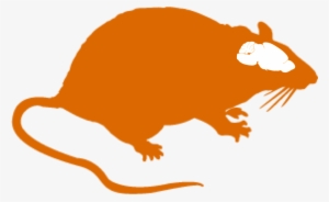 Rat Clipart Small Rat - Got Rat? Throw Blanket