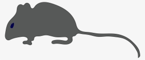 Rat Mouse Gerbil Rodent Cat - Clip Art