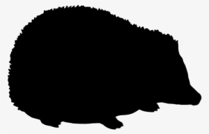 Rabbit Silhouette, Hedgehog Silhouette - Hedgehog Silhouette Png