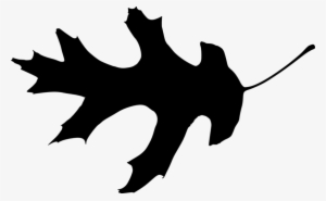 Free Png Leaf Silhouette Png Images Transparent - Portable Network Graphics