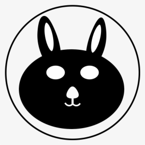 Black Rabbit Media Efficient Solutions For Problems - Google Ads