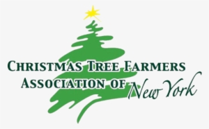 Visit Website - Christmas Tree