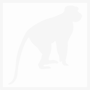 Monkey - African Monkey Silhouette